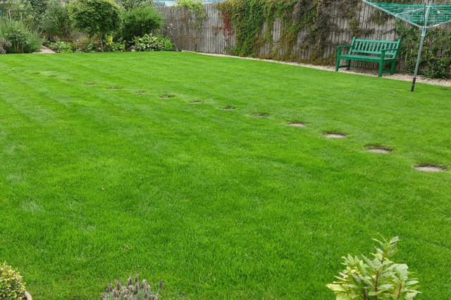 Lawn Makeover - PLATINUM